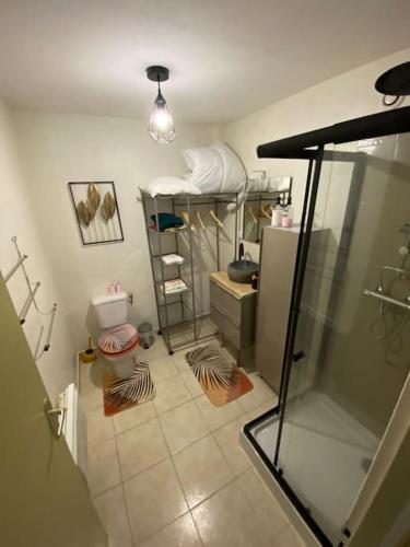 a small bathroom with a toilet and a sink at Studio paisible in Ruffec