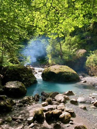 a stream with rocks and smoke in a forest at Apartment Mia Luise in Nüziders