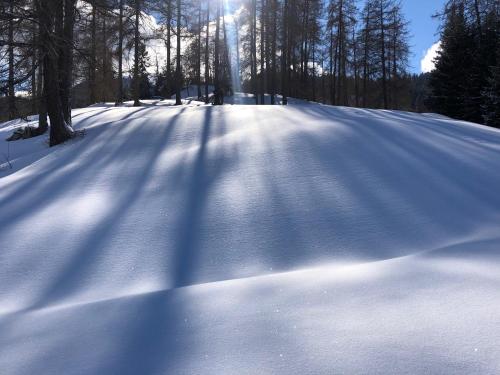 a snow covered road with trees and the sun in the background at Apartment Mia Luise in Nüziders