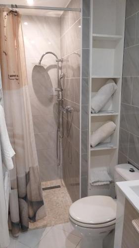 a bathroom with a shower with a toilet and a sink at Magnifique Studio au cœur historique de Fréjus in Fréjus
