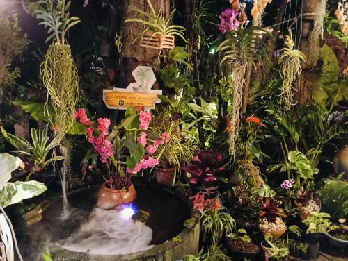 a display of plants and flowers in a store at P P Garden Home Bungalow in Phi Phi Don
