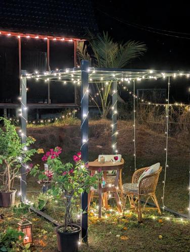 Κήπος έξω από το Vrihi Luxury A-Frames Goa