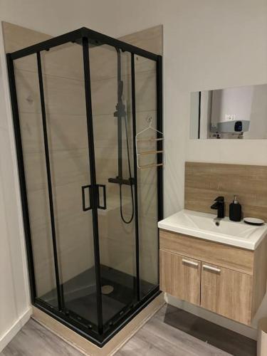 une salle de bain avec douche et lavabo dans l'établissement Studio cosy au cœur de ville, mezzanine -203-, à Saint-Étienne