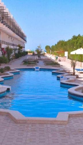 a swimming pool with blue water in front of a building at Fox Hotel El Ahyaa in Hurghada
