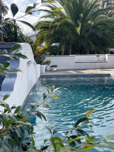 a swimming pool with a fountain and palm trees at Casas La Principal in San Pedro