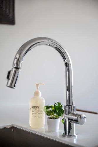 a sink with a bottle of soap and a plant at Top Floor - Amazing Windows - Zuni Lofts in Denver