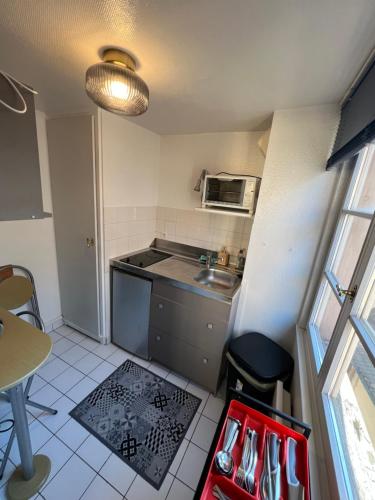 une petite cuisine avec un évier et un micro-ondes dans l'établissement Hyper Centre Strasbourg, à Strasbourg