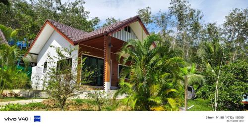 Zahrada ubytování Mookies Bungalows