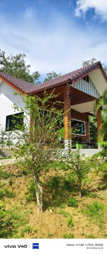 a house with a small tree in front of it at Mookies Bungalows in Koh Mook