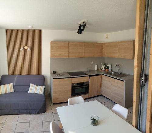 Il comprend une cuisine et un salon doté d'un canapé bleu. dans l'établissement Cosy skis aux pieds, à Briançon