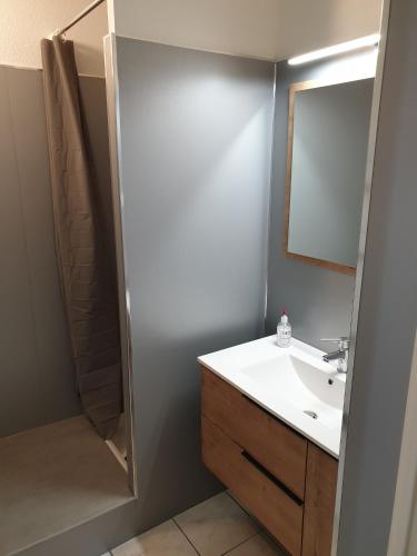 une salle de bain avec un lavabo et un miroir dans l'établissement Cosy skis aux pieds, à Briançon