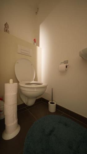 a bathroom with a white toilet and a green rug at miroir de la mer in Blankenberge