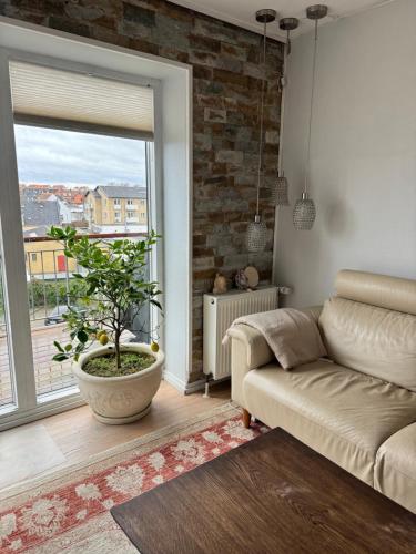 a living room with a couch and a large window at Lejlighed kbh in Copenhagen