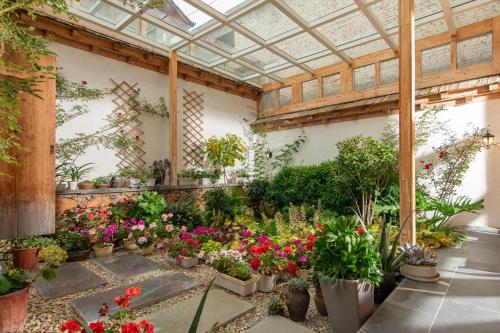 Courtyard Shangri-la 藏舍小院にある庭
