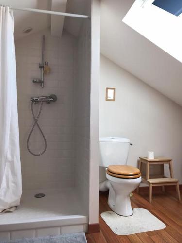 La salle de bains est pourvue d'une douche et de toilettes. dans l'établissement Petite maison cosy, à Pornic