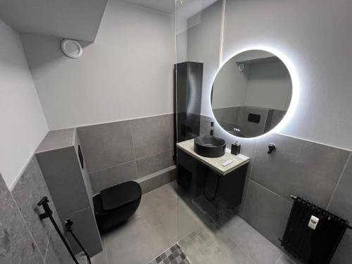 a bathroom with a sink and a mirror at Appartement avec jacuzzi proche du centre in Strasbourg