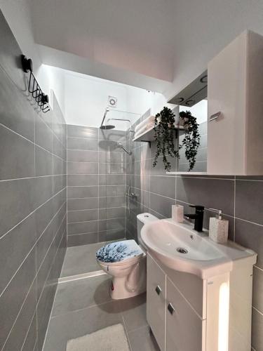 Bany a Lower Town Studio #2