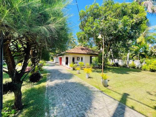 a house with a garden and a walkway at The Beez in Negombo