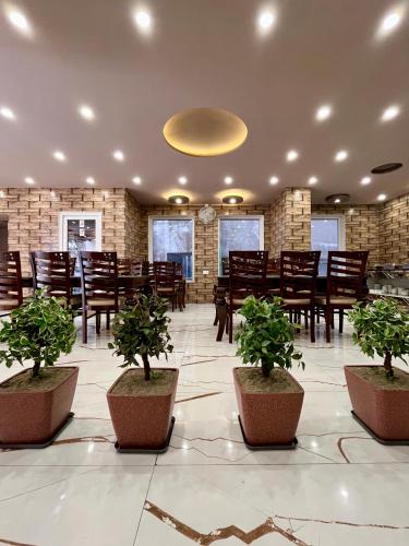 a room with tables and chairs and potted plants at Hotel Viva La Vida in Dalhousie