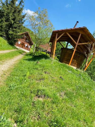 a grassy hill with a house and a tree at Cabana Mădălin in Gurani
