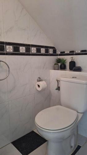 een badkamer met een wit toilet en een rol toiletpapier bij Carmen Casa Helena in Nerja