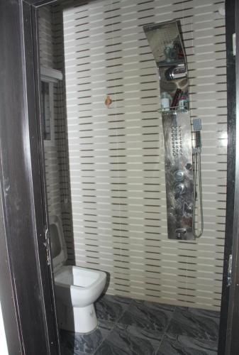 a bathroom with a white toilet in a room at Luxury Egbeda Apartments in Okunola