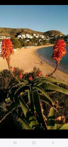 Appartement Almadrava Roses