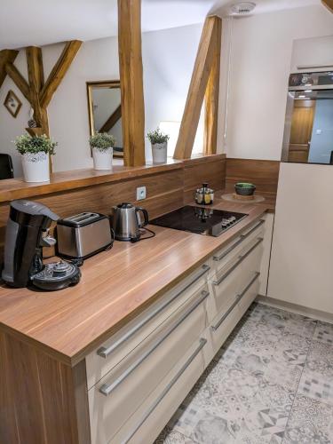 a kitchen with a stove and a refrigerator at Les Toits de Turckheim in Turckheim
