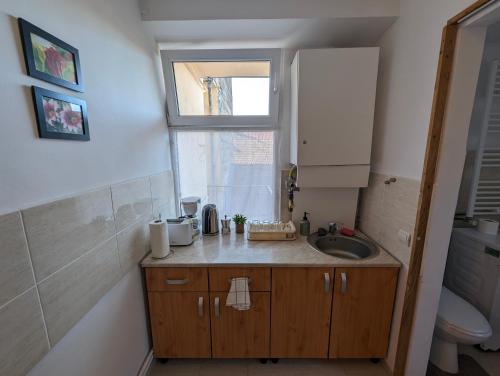 Una pequeña cocina con fregadero y ventana. en Sandor Apartment Calarasilor, en Târgu Mureș