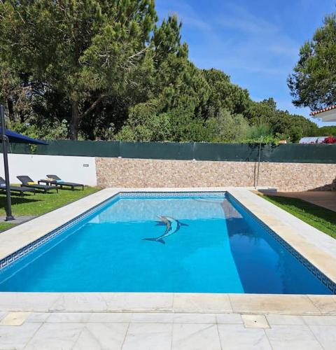 a swimming pool with a dolphin painted on it at 4 suites, piscine, Casa Rio-Dora by SesimbraSunSea in Lagoa de Albufeira