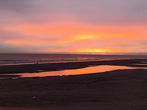 a sunset on the beach with a reflection in the water at Hostal Playa Descalzo in Cartagena de Indias
