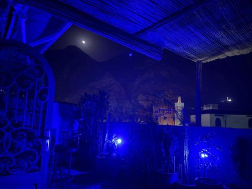 a dark room with blue lights and plants in it at Dar Nakhla in Chefchaouene