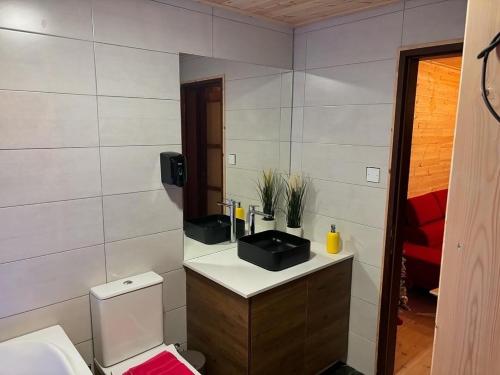 a bathroom with a sink and a toilet and a mirror at SOFROS VALLEY HILLS CHALET in Ayios Mamas