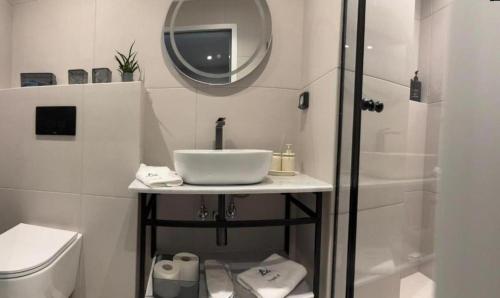 une salle de bain avec un lavabo, des toilettes et un miroir dans l'établissement Triple A - Psiri Fruit Market Artistic Studios - FREE Parking, à Athènes