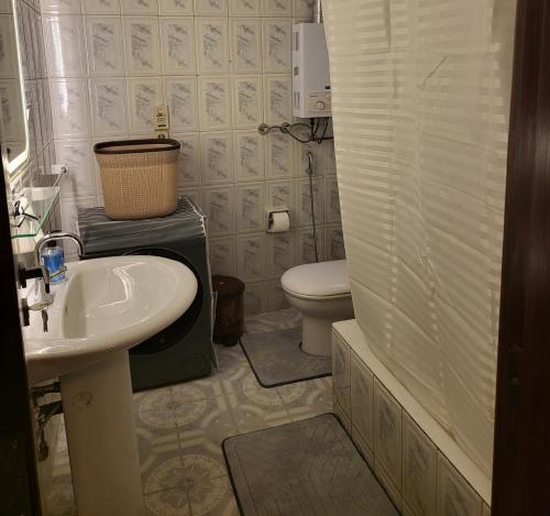 a small bathroom with a sink and a toilet at Entire 3BDR apartment at prime location with wifi and garden view near CAI airport in Cairo