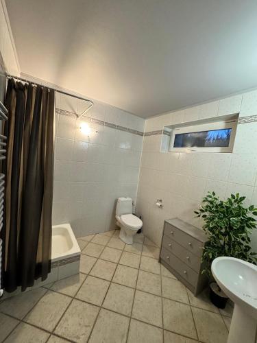 a bathroom with a toilet and a sink and a shower at "Ukryty w tujach" dom na wyłączność 6-14 osób in Międzyrzec Podlaski