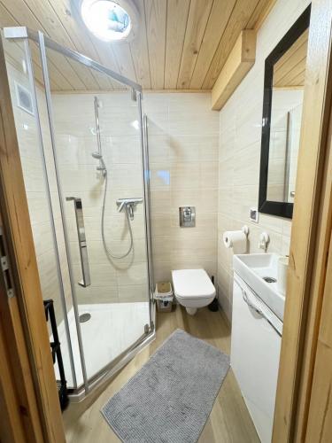 a bathroom with a shower and a toilet and a sink at Mały Karmelowy Domek in Stężyca