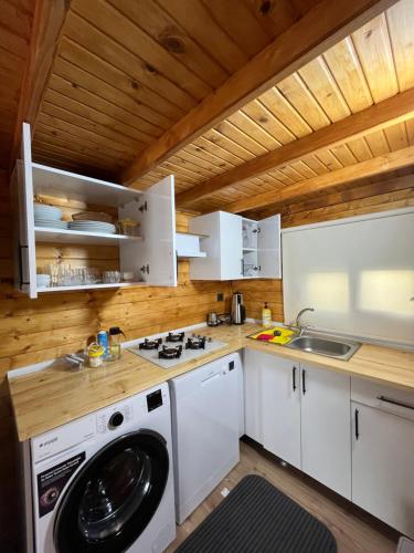 a kitchen with a washing machine and a washer at Urla Bungalov Evleri in Urla