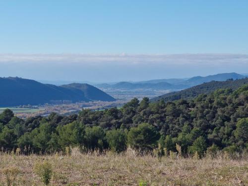 a view of a valley from a hill with trees at Chambres d'hôtes à Pêtre in Entrevennes
