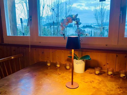 a table with a blue lamp on a table in front of a window at Birkenhof, Haus Schwänli in Herisau