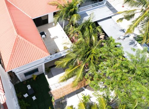 Zahrada ubytování Equatorial Inn