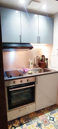 une cuisine avec un évier et une cuisinière dans l'établissement Haven, à Strasbourg