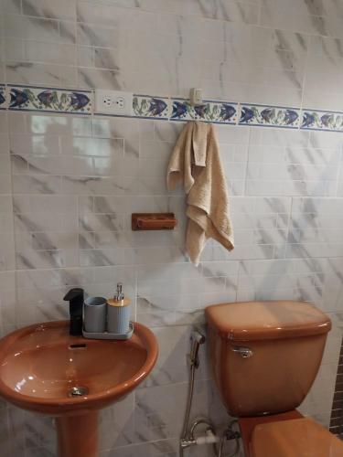 a bathroom with a wooden toilet and a sink at Cabaña Marys - privacidad y tranquilidad en las montañas de panamá in San Carlos