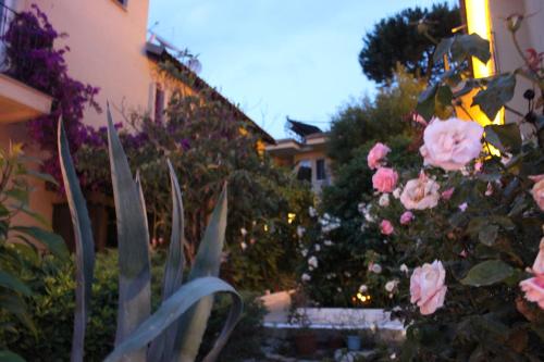 a garden with pink roses and a building at Tunacan Hotel in Oludeniz