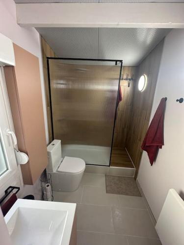 a small bathroom with a shower and a toilet at Le Soixante Dix Sept in Arras