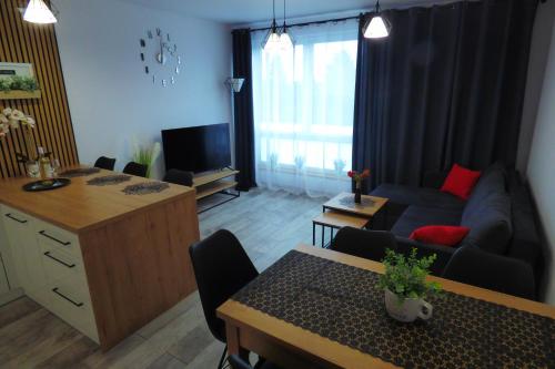 Televisyen dan/atau pusat hiburan di Słowik Apartament