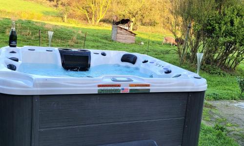 a bath tub filled with water in a field at Le gîte de Saint Mathieu, longère pleine de charme au bout du monde ! jacuzzi extérieur vue sur la campagne, salle de billard in Plougonvelin