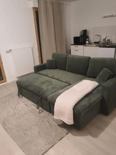 - un canapé vert dans le salon dans l'établissement Studio équipé proche metro 14 Institut Gustave RoussyVillejuif, à Villejuif