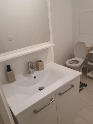 une salle de bain avec un lavabo blanc et des toilettes dans l'établissement Studio équipé proche metro 14 Institut Gustave RoussyVillejuif, à Villejuif