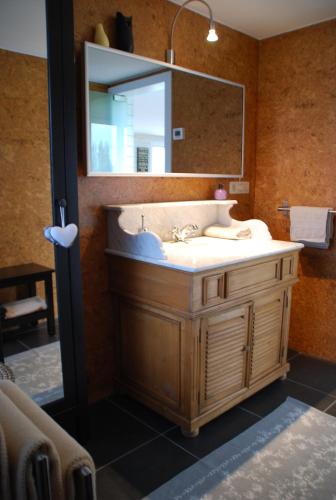 a bathroom with a sink and a mirror at Maison Marie in Poperinge